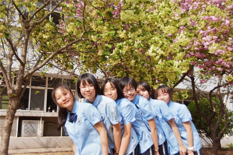 不负春光不负你486.png 不负春光不负你486.png