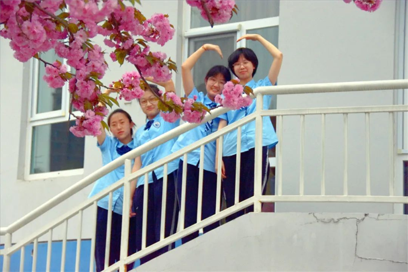不负春光不负你490.png 不负春光不负你490.png