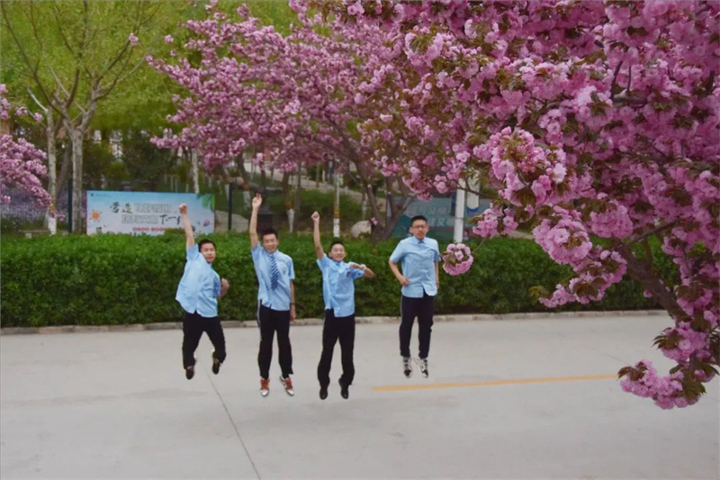 不负春光不负你492.png 不负春光不负你492.png