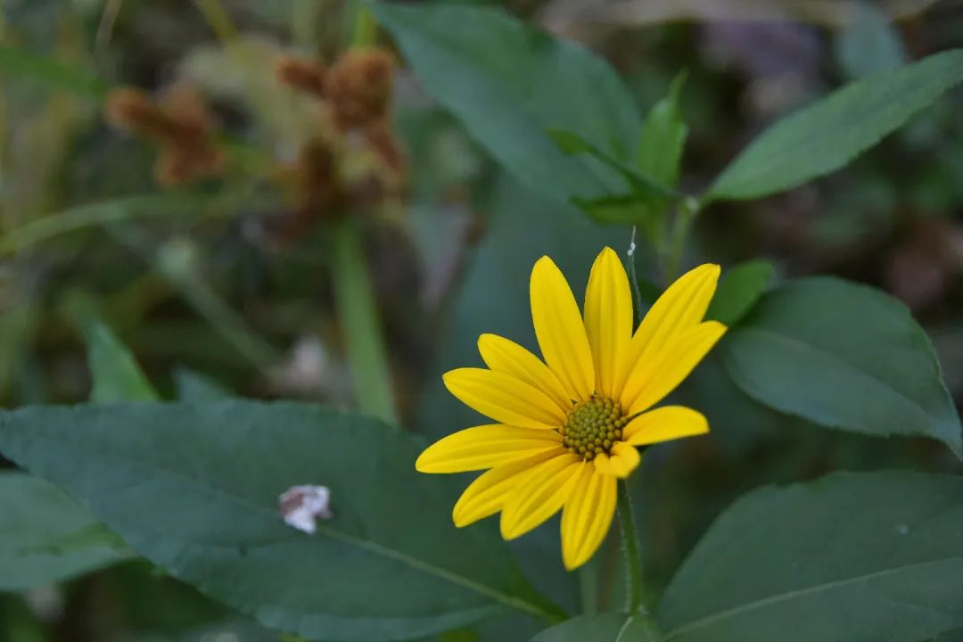 image030.jpg