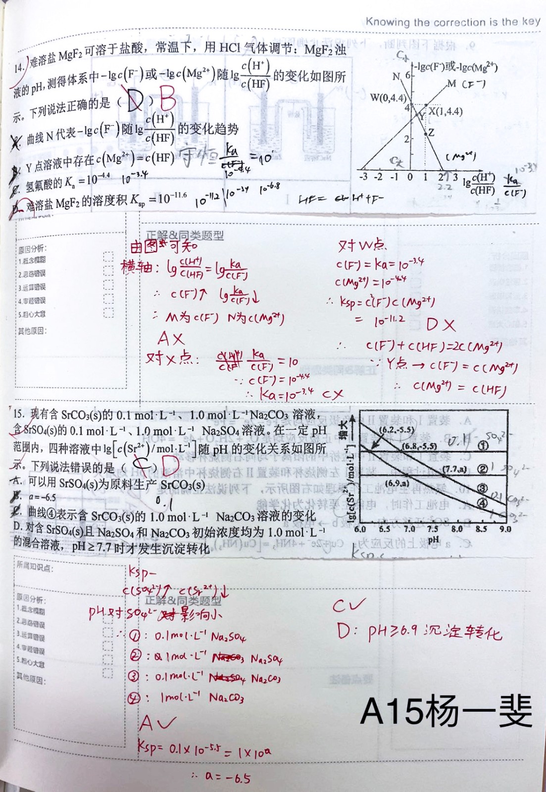 A164.jpg