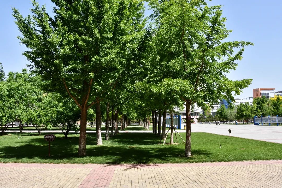 image003.jpg