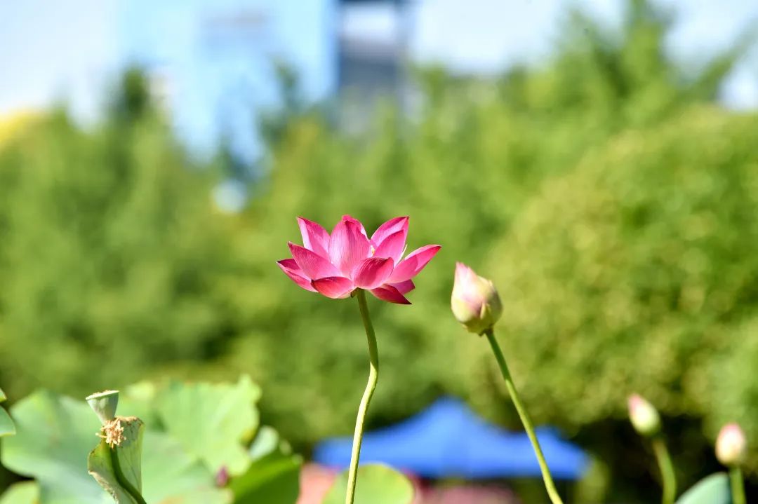 image011.jpg
