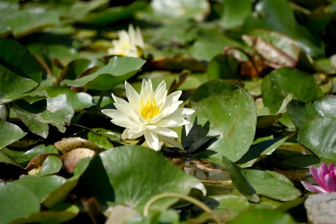 image013.jpg