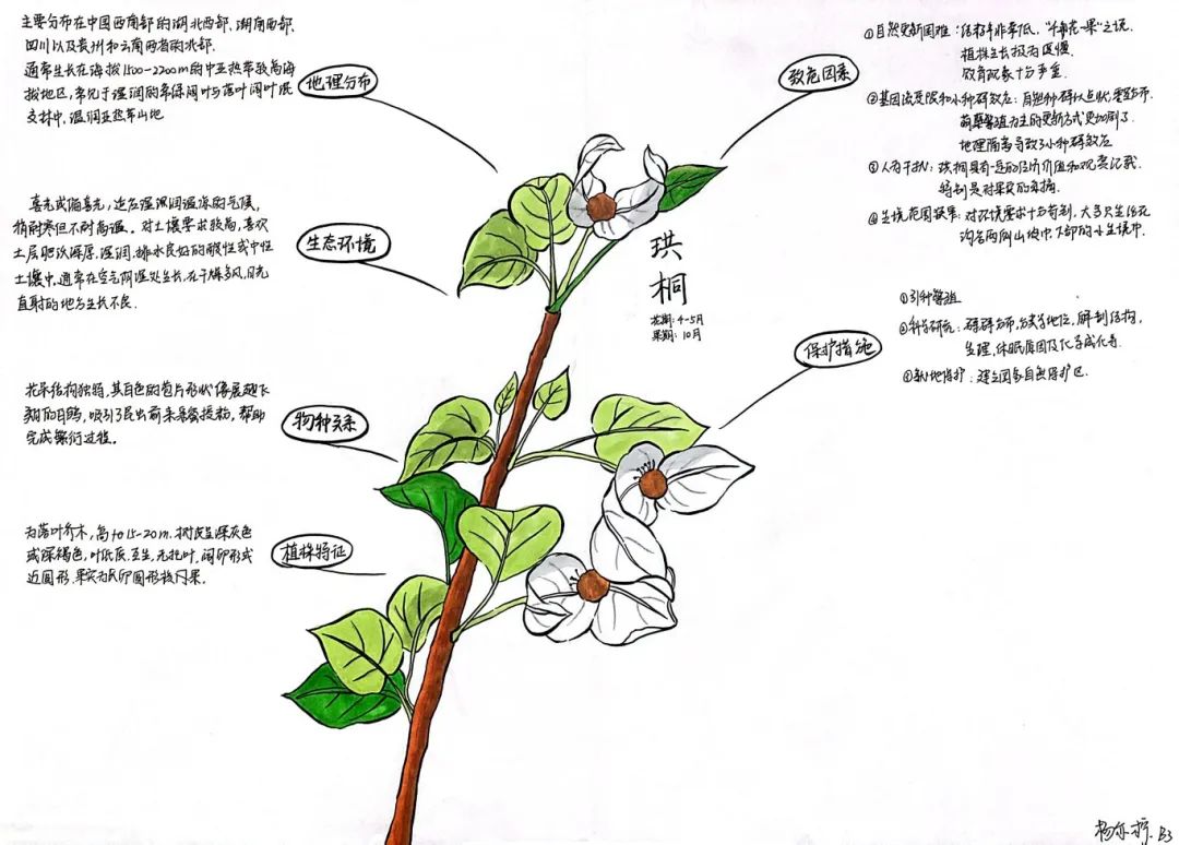 image049.jpg