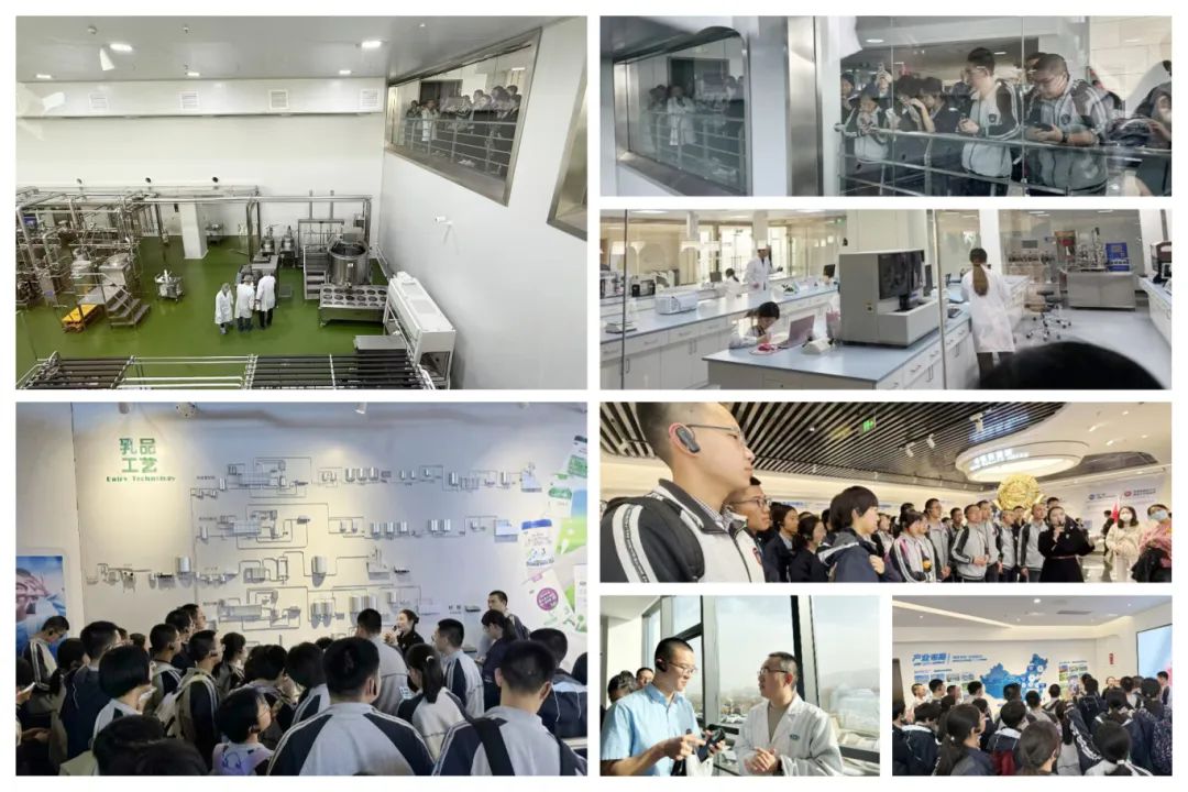 image005.jpg image005.jpg