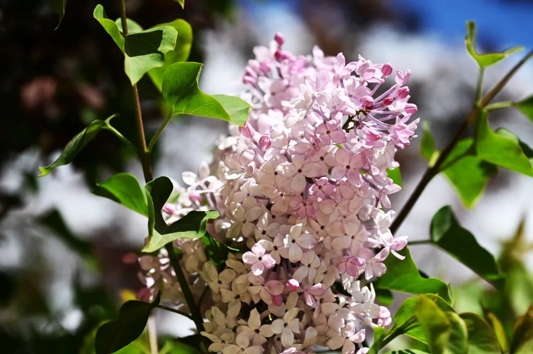 image011.jpg