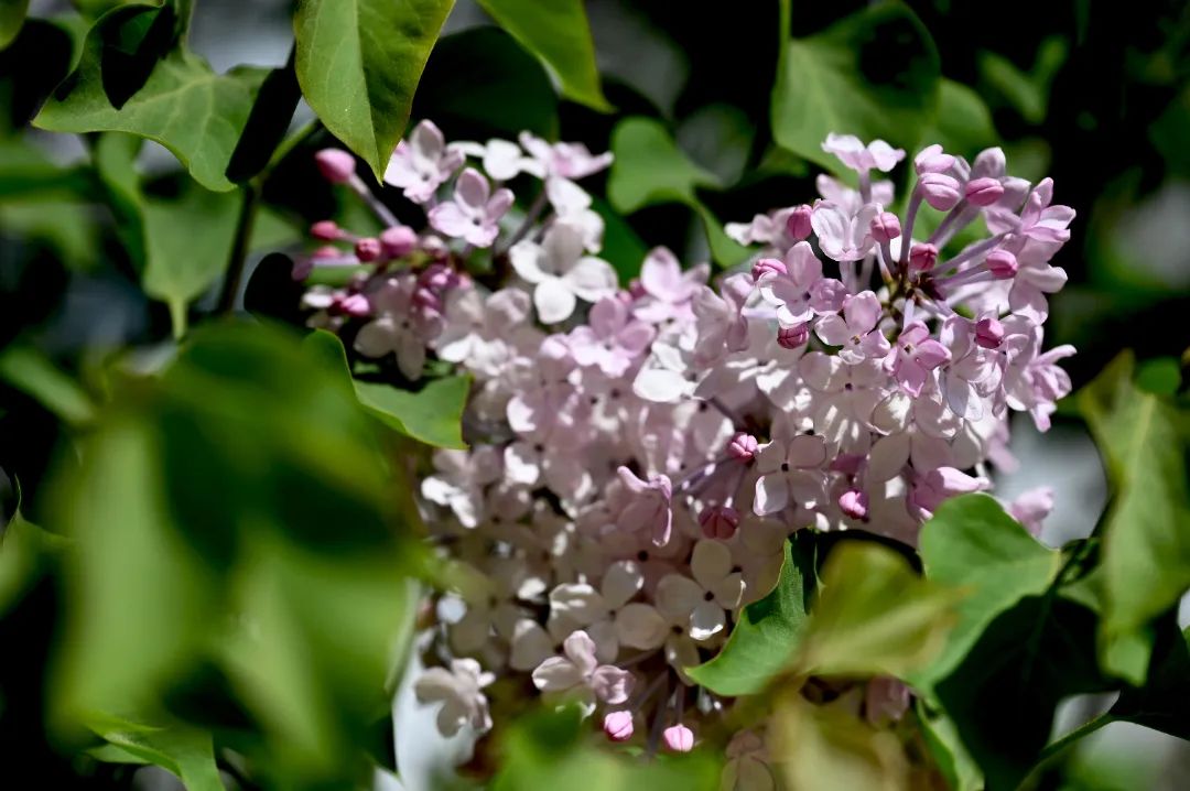 image010.jpg