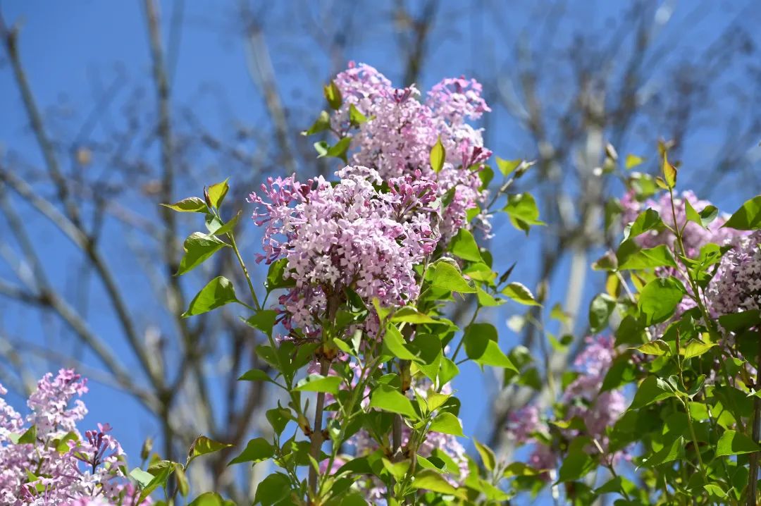image014.jpg