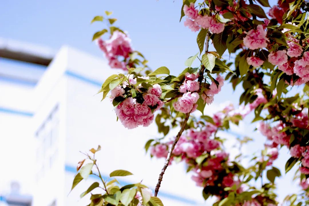 image010.jpg